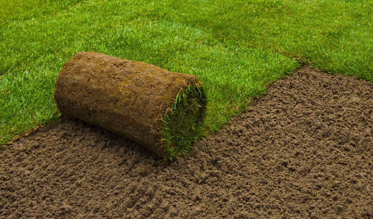 Рулонный газон: преимущества быстрой и качественной установки
