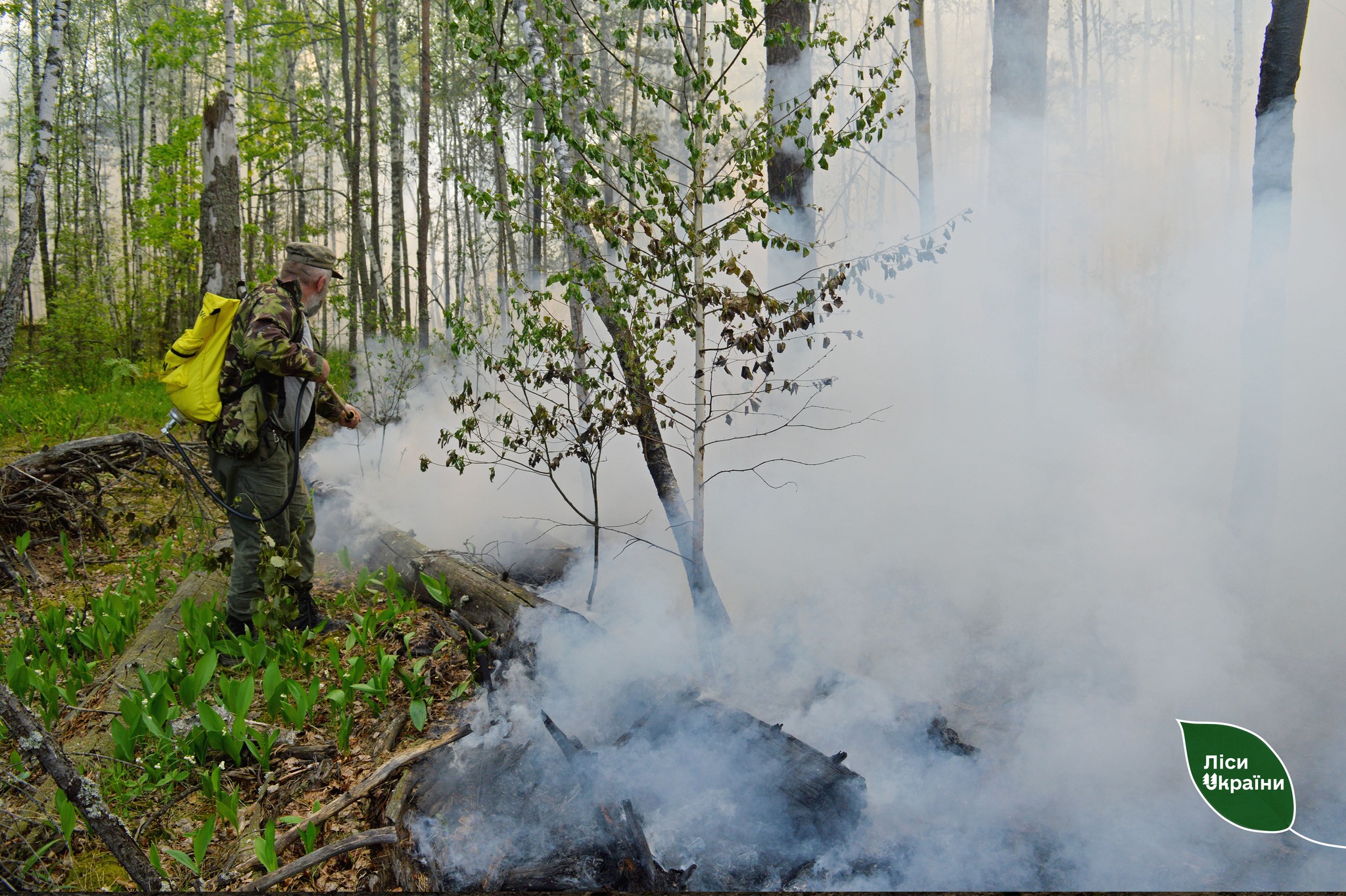 На прикордонні Чернігівщини досі триває ліквідація лісової пожежі, яка зайнялася через обстріли