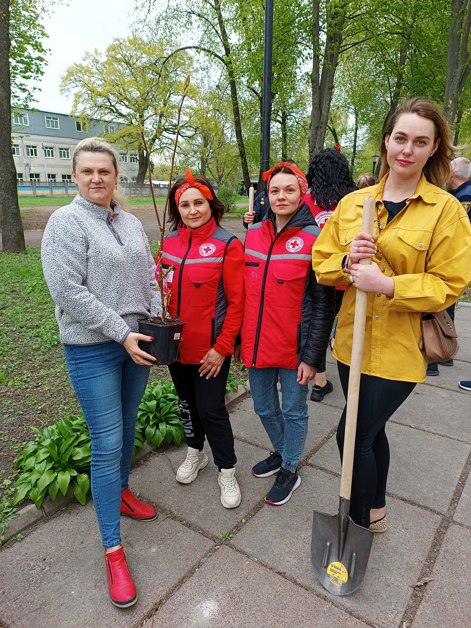 У Ніжині з нагоди 106-ї річниці заснування Товариства Червоного Хреста України висадили магнолії. ФОТО