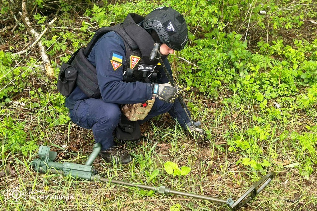 На Чернігівщині піротехніки вилучили 17 вибухонебезпечних предметів
