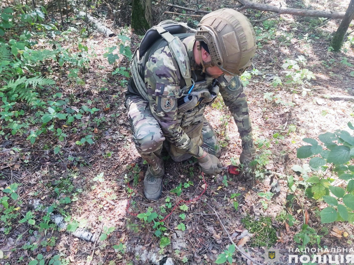 На Чернігівщині знешкодили бойову частину ворожого БПЛА, яка не здетонувала. ФОТО