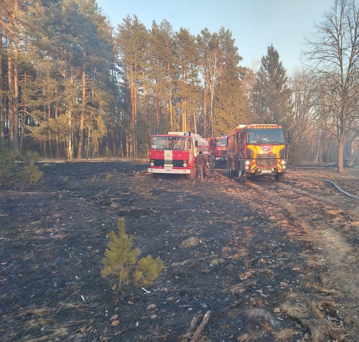 На Корюківщині через випалювання сухої трави згоріли два будинки. ФОТОфакт