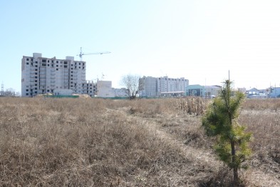 Ошукані вкладники «Домобудівника» отримали омріяні 2.8 гектари землі на Масанах