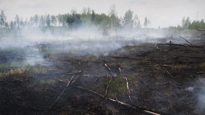 На Черниговщине из-за человеческой халатности произошел пожар торфяника