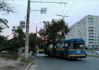 У Чернігові на тролейбус з людьми впало дерево