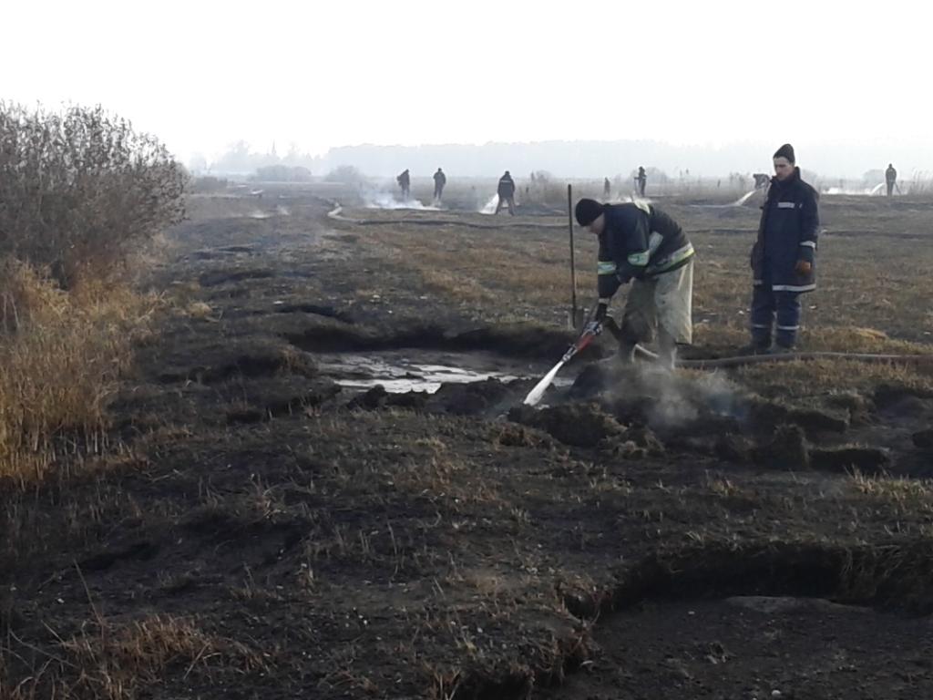 У трьох районах Чернігівщини продовжує тліти майже 105 га торфу