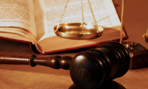 Рішення суду про ліквідацію «Домобудівника» не остаточне для кредиторів