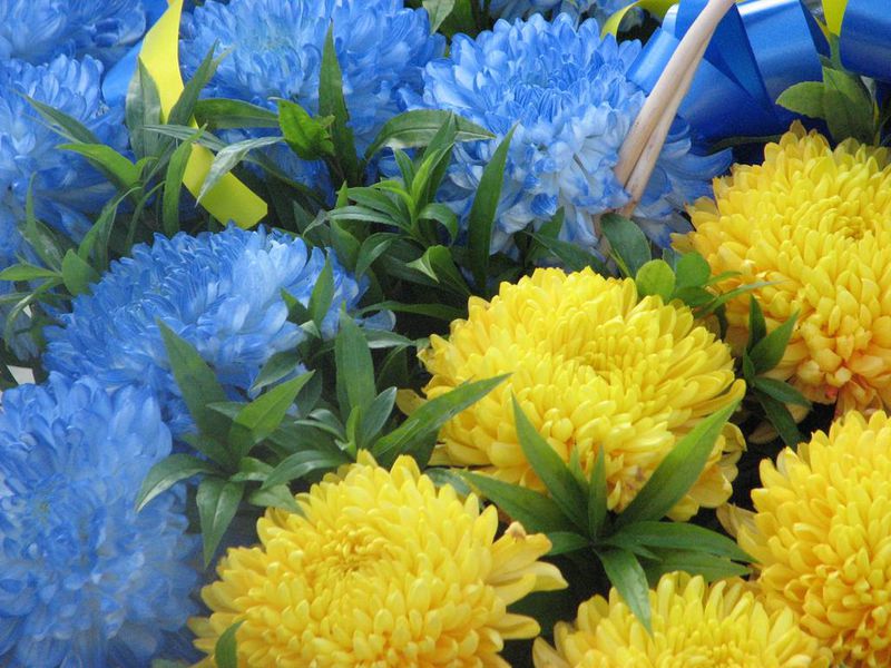 Куліч витратив на квіти 2 тисячі 600 гривень