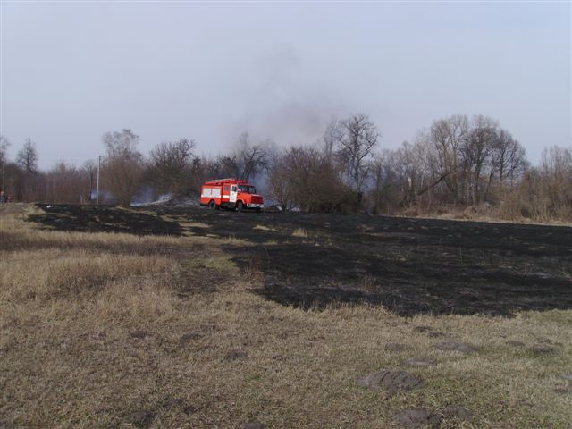 Запалену траву доводиться гасити надзвичайникам