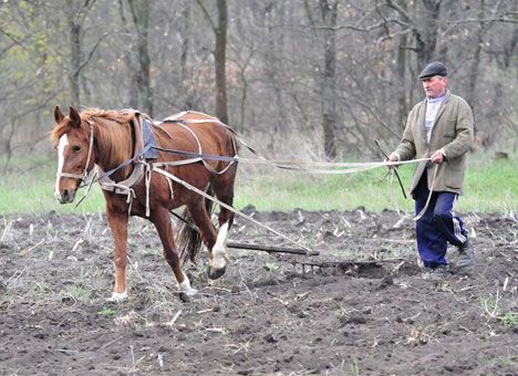 Фермери багатіють, селяни – бідніють: валові баталії області