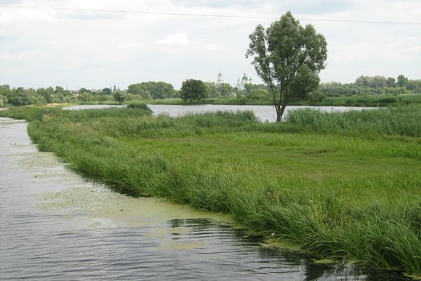 За фактом забруднення р. Остер прокуратура зареєструвала кримінальне провадження