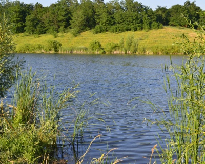 На Чернігівщині у ставку потонув рівнянин