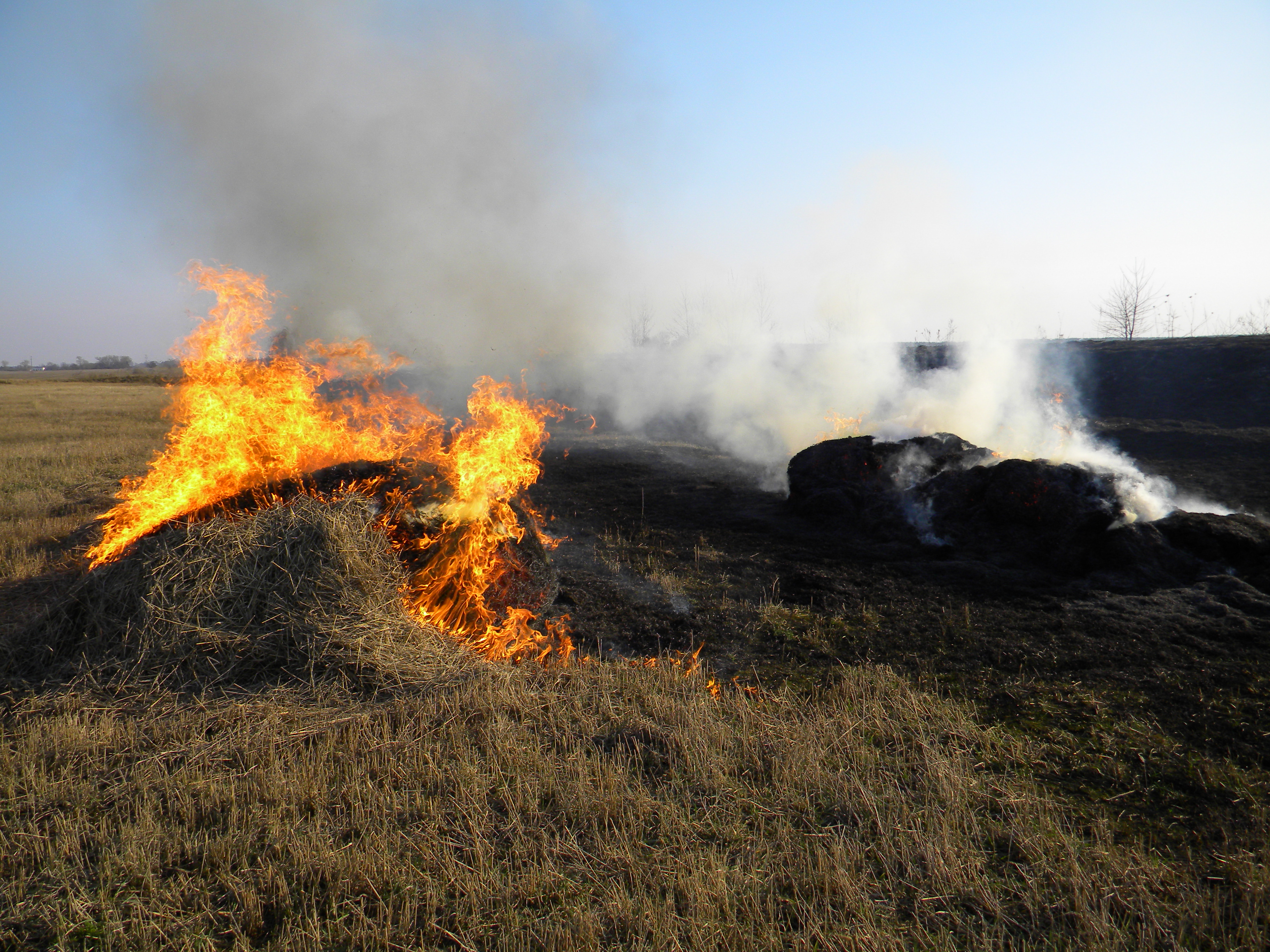 На Чернігівщині створився найвищий клас пожежної небезпеки
