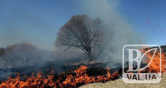 Жителька Чернігівщини після спалювання трави потрапила до реанімації