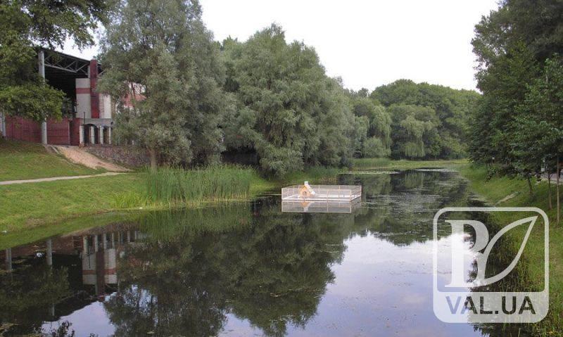 У Чернігівському парку водойма невдовзі стане чистою. ВІДЕО