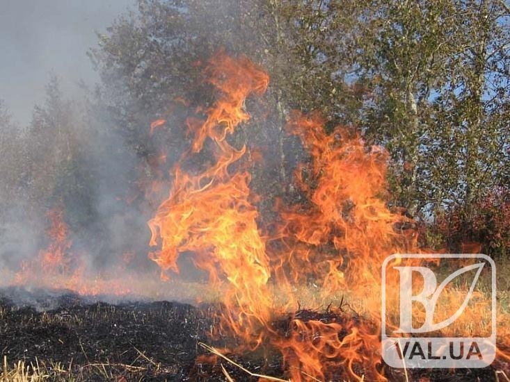 На Чернігівщині існує загроза надзвичайної пожежної небезпеки