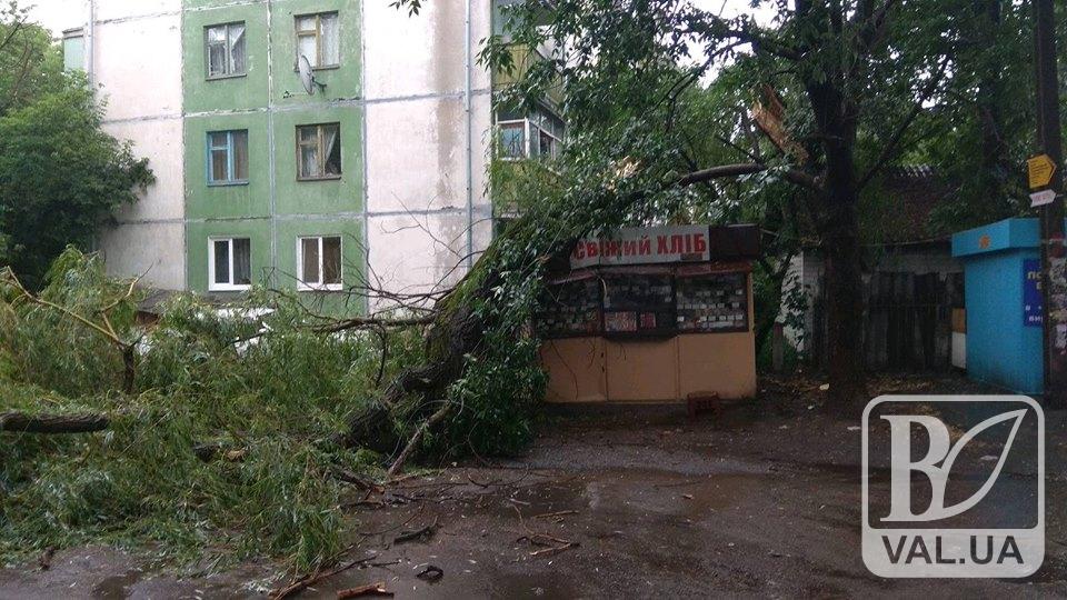 У Чернігові дерево впало на кіоск. ФОТОфакт