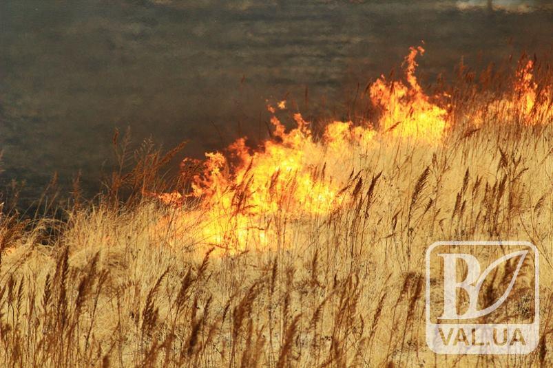 В Чернігівській області в найближчі дні очікується надзвичайна пожежна небезпека