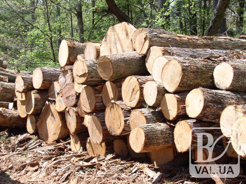 Чернігівщина входить до пʼятірки найбільших виробників деревини країни