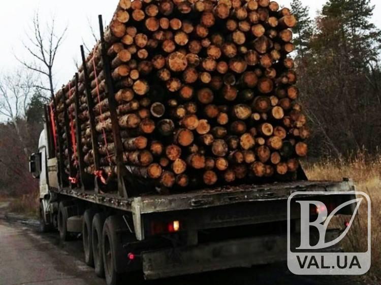 На Чернігівщині затримали вантажівку з деревиною без документів