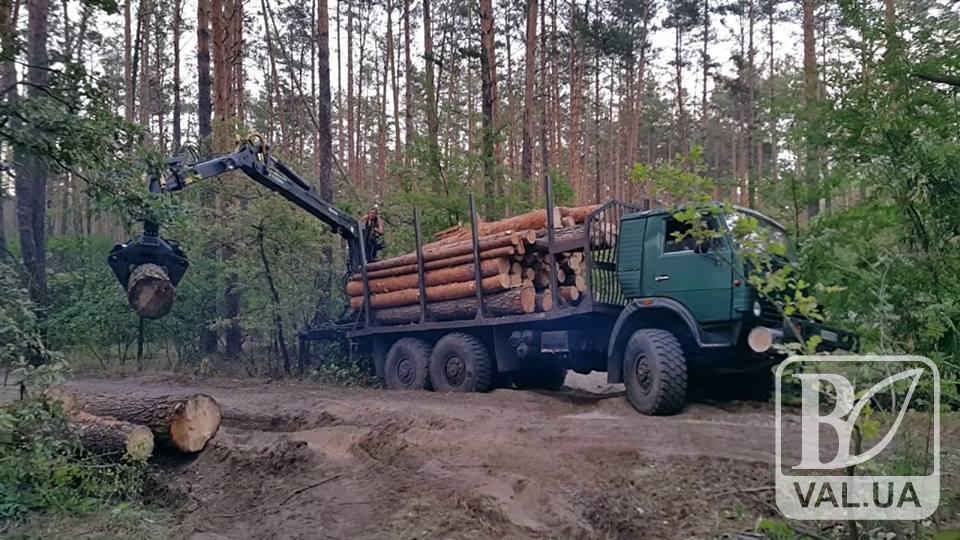 На Чернігівщині судять лісничого, який вимагав від фермера 90 тис грн. за деревину