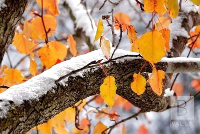 В Украину надвигается «зима»: синоптик рассказала, где ожидается первый снег