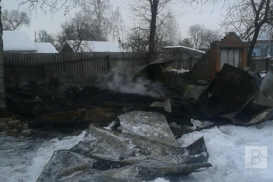 На Чернігівщині під час пожежі у власному будинку загинула 89-річна бабуся. ФОТО
