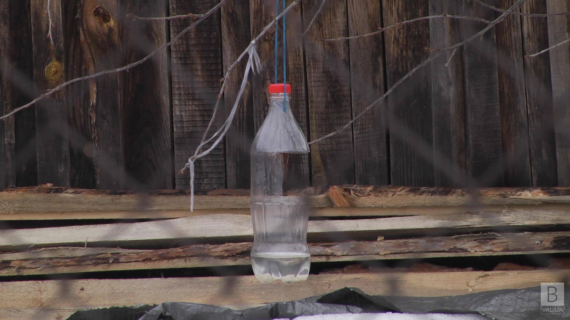 Из-за прорыва трубы на Шерстянке 12 семей остались без водоснабжения ВИДЕО