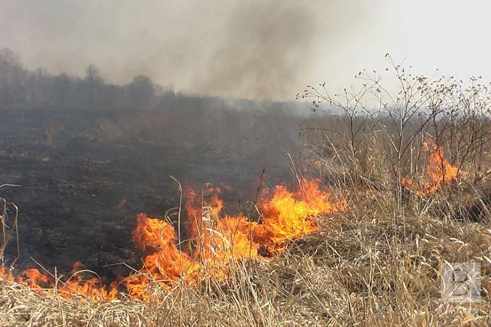 На Чернігівщині рятувальники ліквідували 12 пожеж, 9 з яких виникло у природних екосистемах