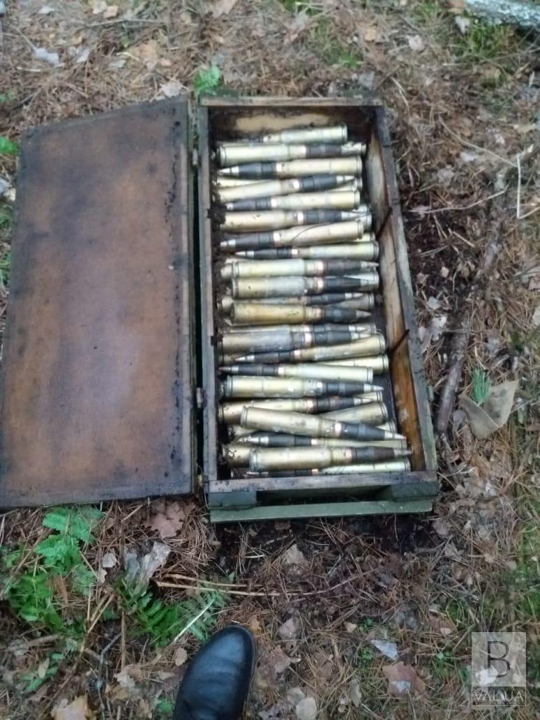 На Чернігівщині виявили схрон з патронами для артилерійських гармат. ФОТО