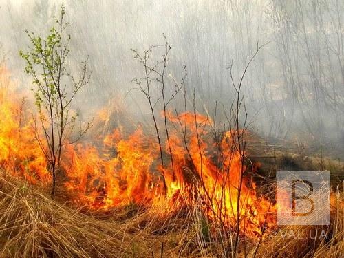 В Черниговском районе 77-летняя женщина погибла, когда самостоятельно тушила горящую траву