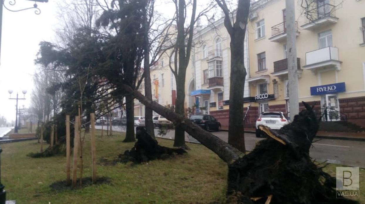 У Чернігові внаслідок буревію постраждали двоє людей
