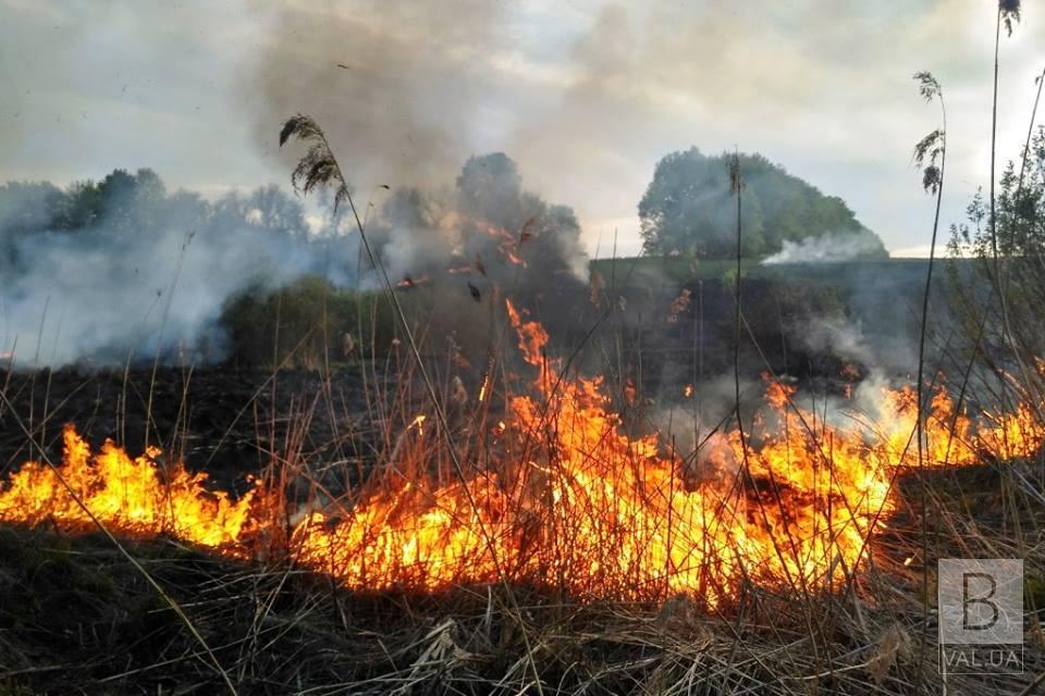 Выжигал остатки кукурузы: на приусадебном участке нашли мертвым 91-летнего хозяина. ФОТО