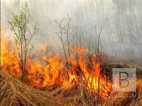 На Чернігівщині 69-річний чоловік постраждав під час пожежі