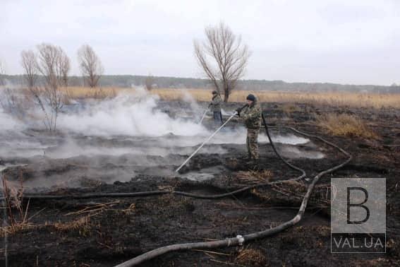 На Чернігівщині горять торфовища