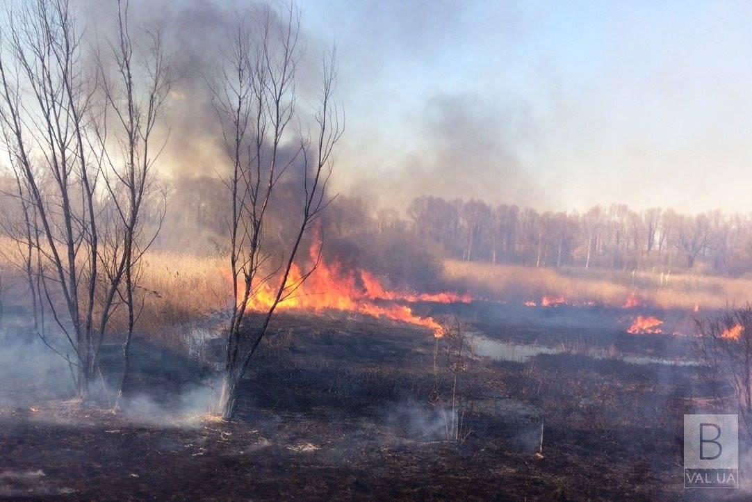 На Черниговщине во время сжигания сухой травы погибла 80-летняя женщина. ФОТО
