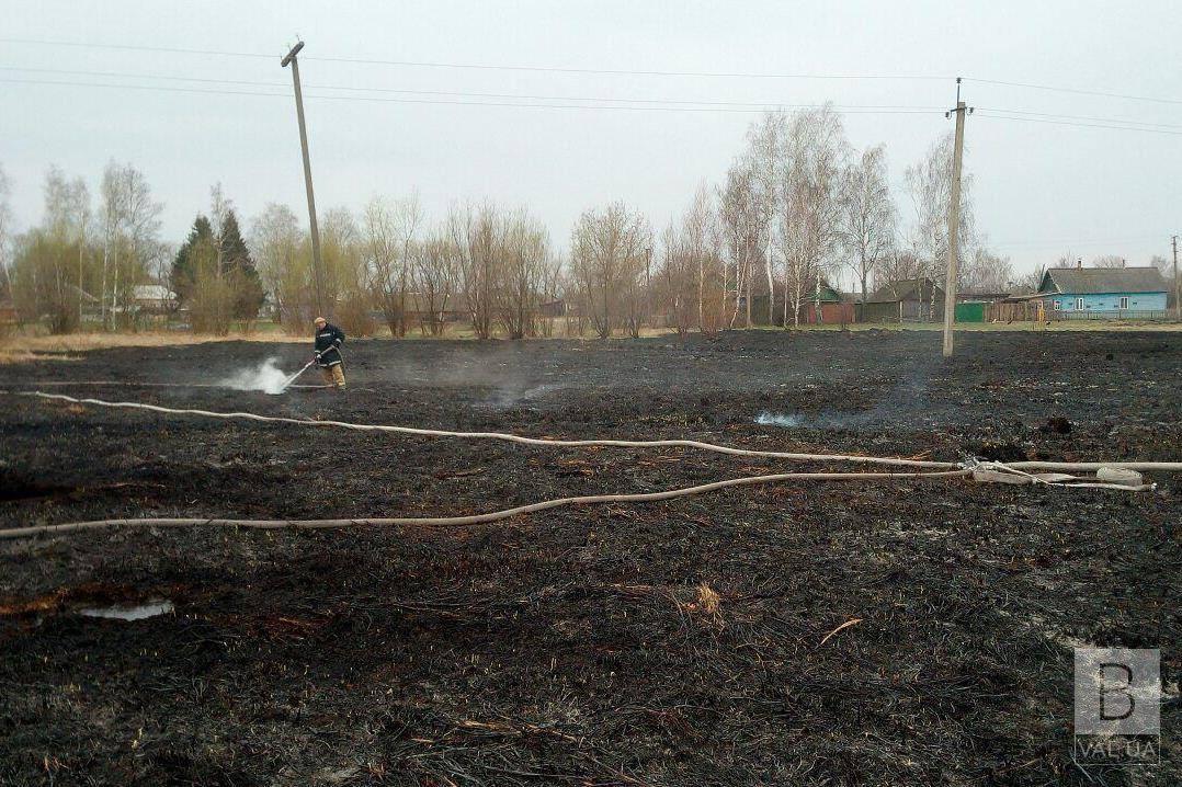 В Сновському районе горят торфяники. ФОТО
