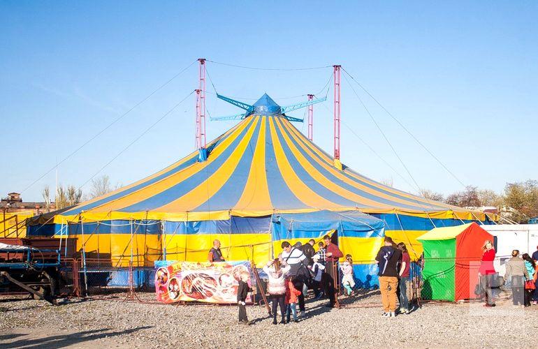 Черниговские зооволонтеры хотят отменить гастроли столичного цирка