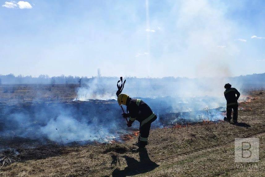 На Черниговщине за минувшие сутки выгорело более 90 гектаров сухой травы