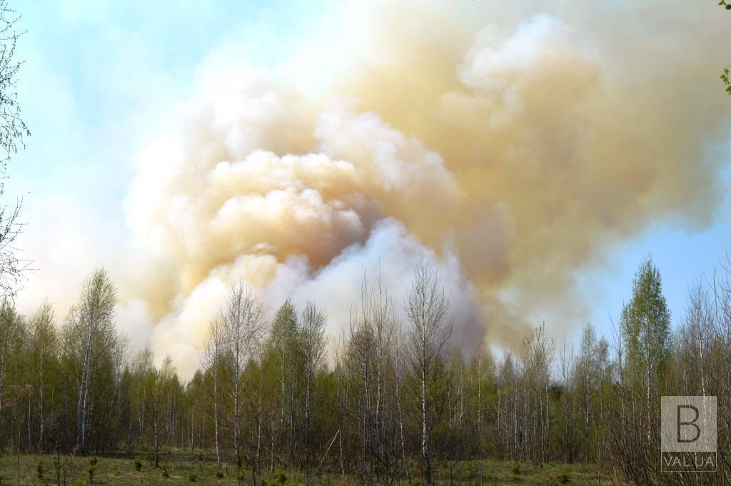 Черниговщина продолжает гореть: за минувшие сутки ликвидировали 31 пожар. ФОТО