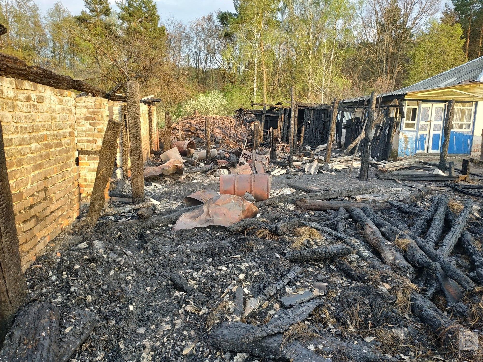 На Чернігівщині через розряд блискавки спалахнула будівля. ФОТО