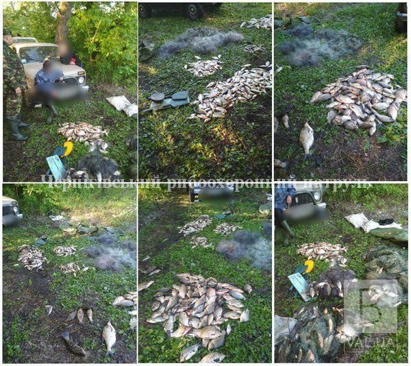 На Чернігівщині протягом двох днів вилучено 95 кг незаконно добутої риби зі збитками 37,9 тисяч гривень
