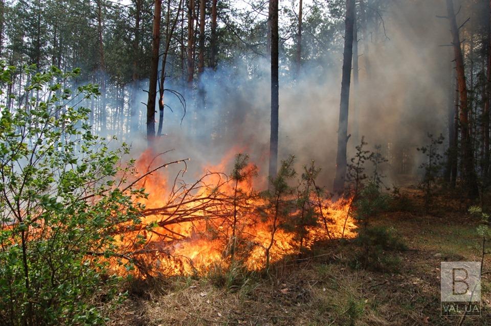 Синоптики предупреждают о чрезвычайной пожарной опасности на Черниговщине