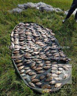 На Черниговщине браконьеры выловили 40 экземпляров краснокнижной рыбы