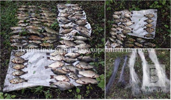На Чернігівщині викрито чоловіка з 28 кг незаконно добутої риби