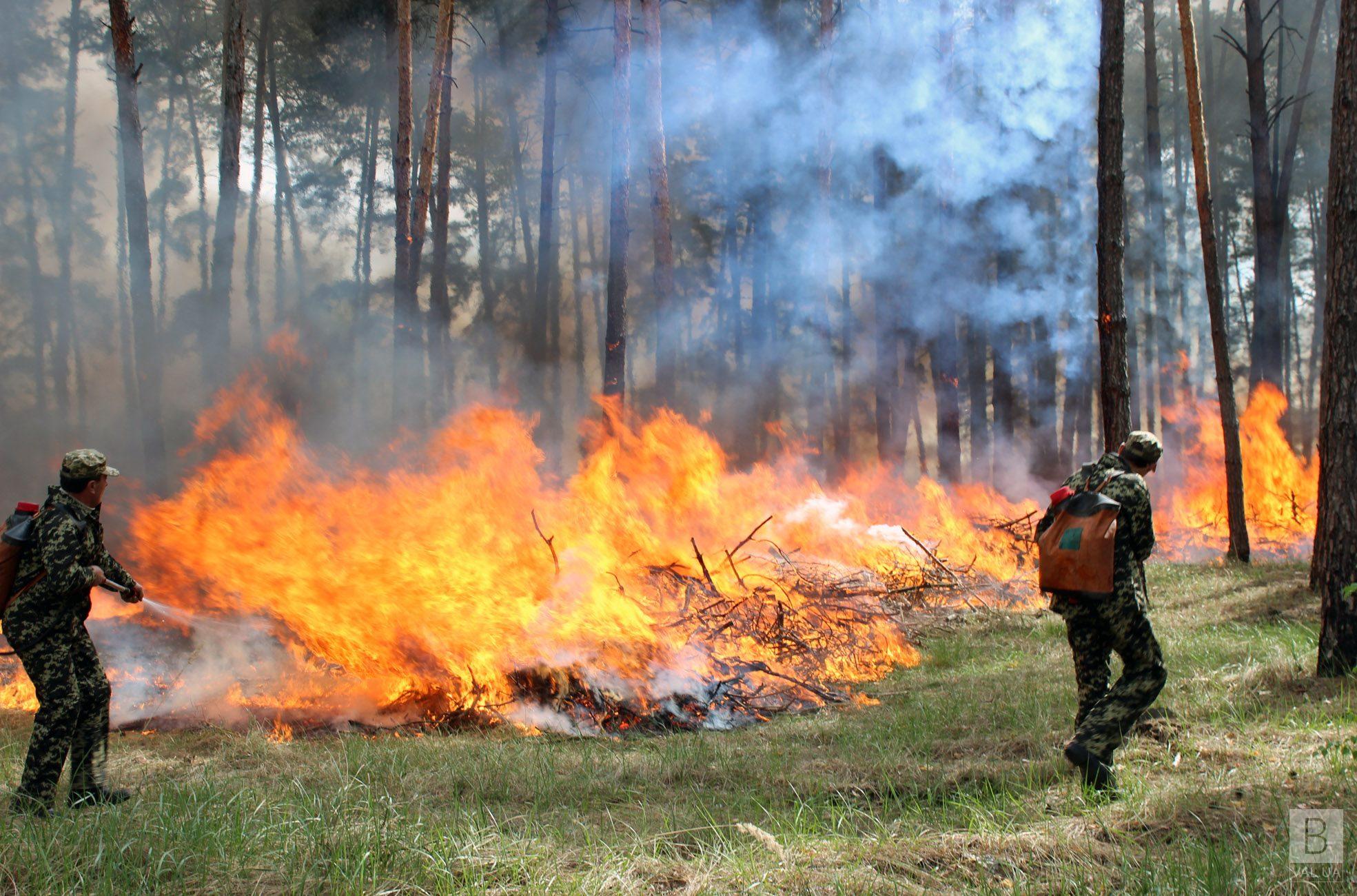 По всей Украине 4 дня будет чрезвычайная пожарная опасность