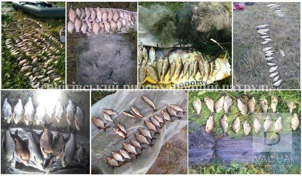 На Черниговщине браконьеры нанесли ущерб рыбному хозяйству на 19 тысяч гривен