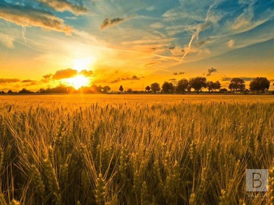 Сегодня - День летнего солнцестояния: точное время, традиции и запреты
