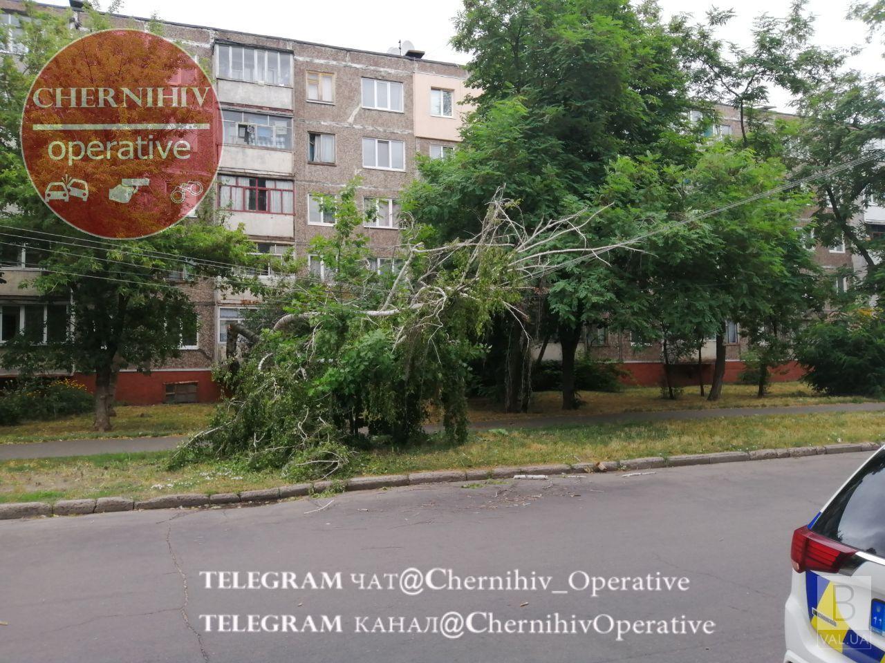 Буревій пройшовся містом. ФОТОфакт