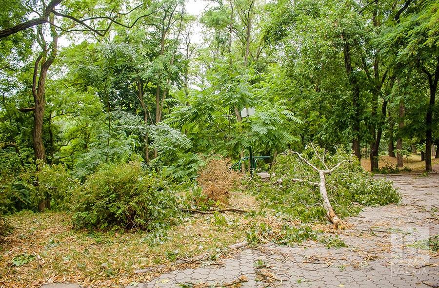 В Чернигове, Болдины горы «усыпаны» поваленными деревьями. ФОТОрепортаж